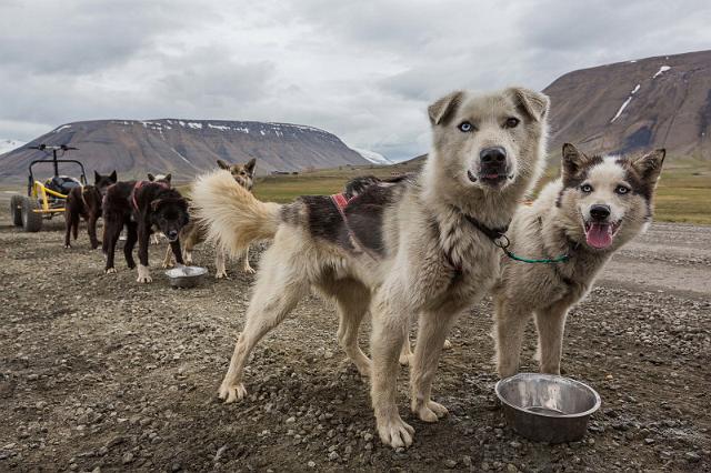 006 Longyearbyen.jpg